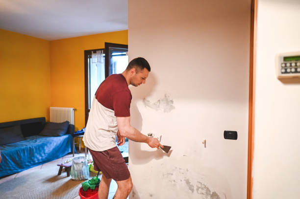 Best Mold Remediation  in Shadow Lake, WA